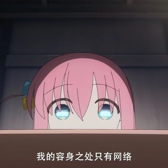 只有网络才是我的容身