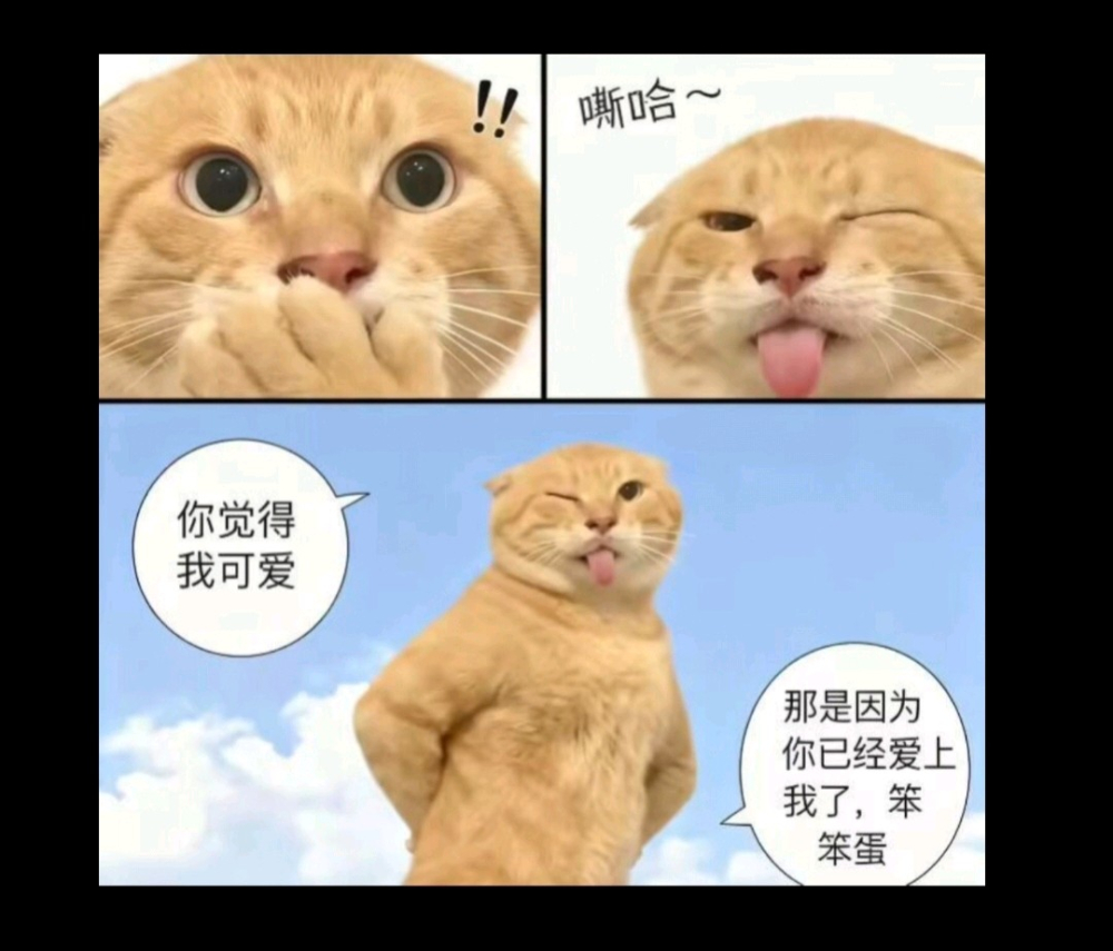 你觉得我可爱?