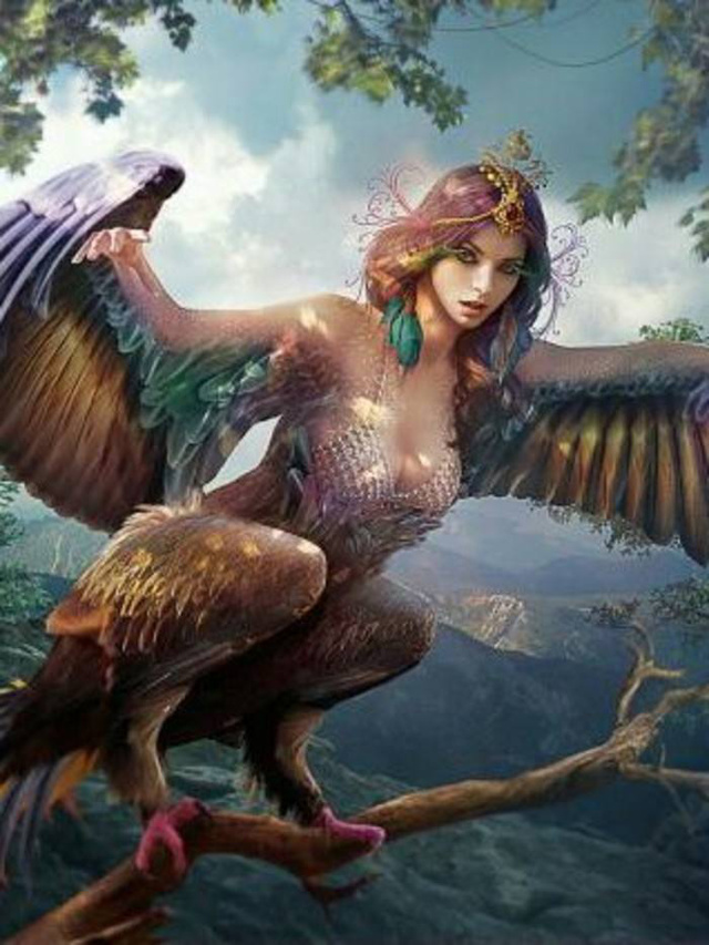 漂亮的鹰身女妖