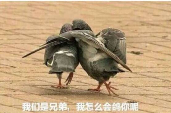 图：关于今天的更新延