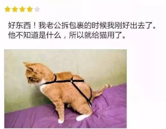 猫：喵喵喵？