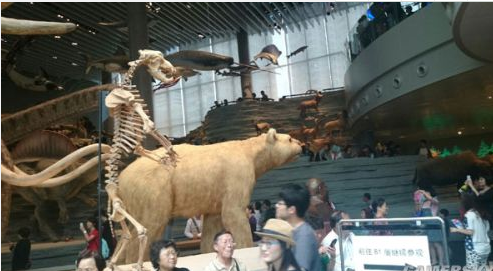 拍摄角度的问题