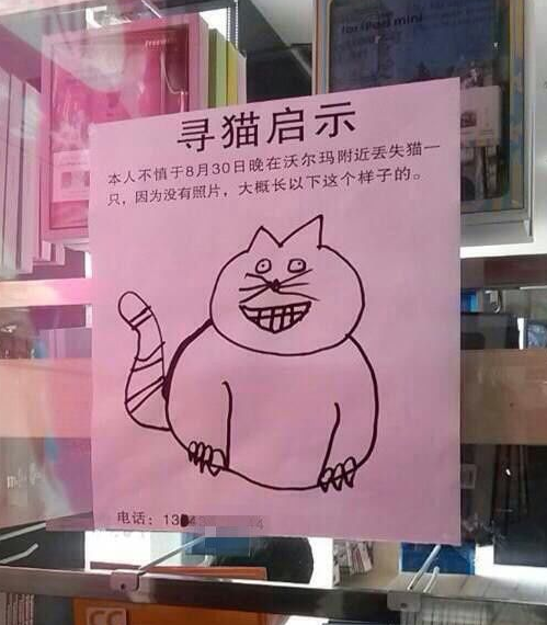 寻猫……