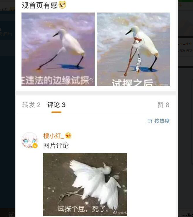 继续试探啊