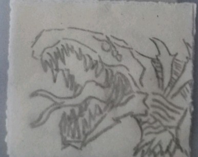 还没编号的孩子