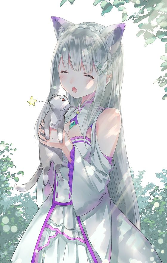 献图一张，以示友好