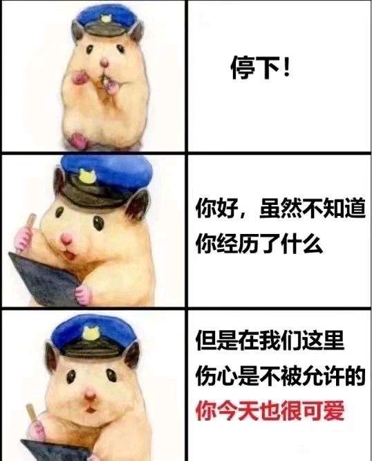 可爱的读者们！