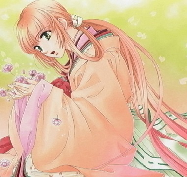 仙崎决明子外貌参考