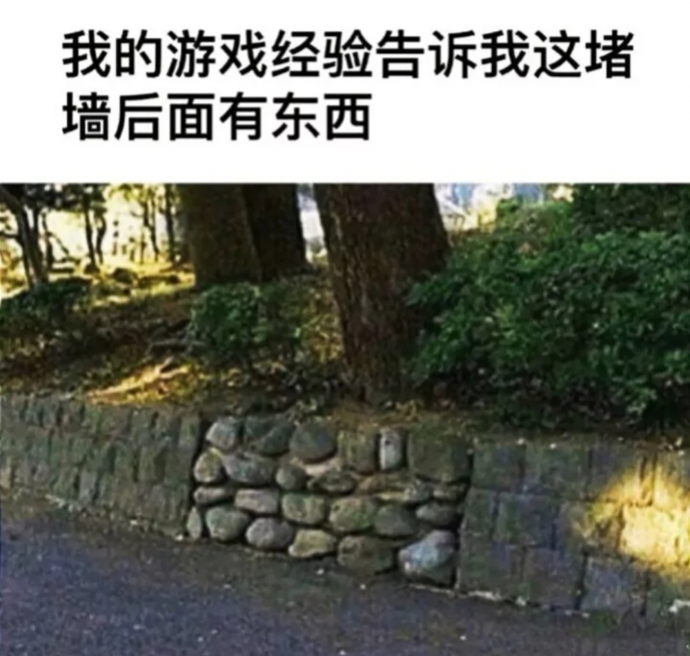 哦？我也这么觉得