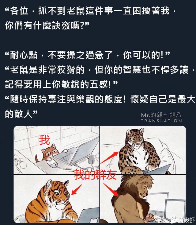 我和我的网友