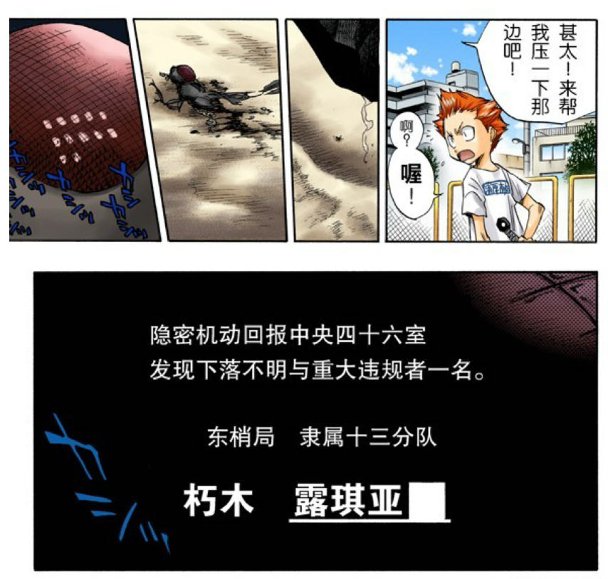 隐秘机动的汇报