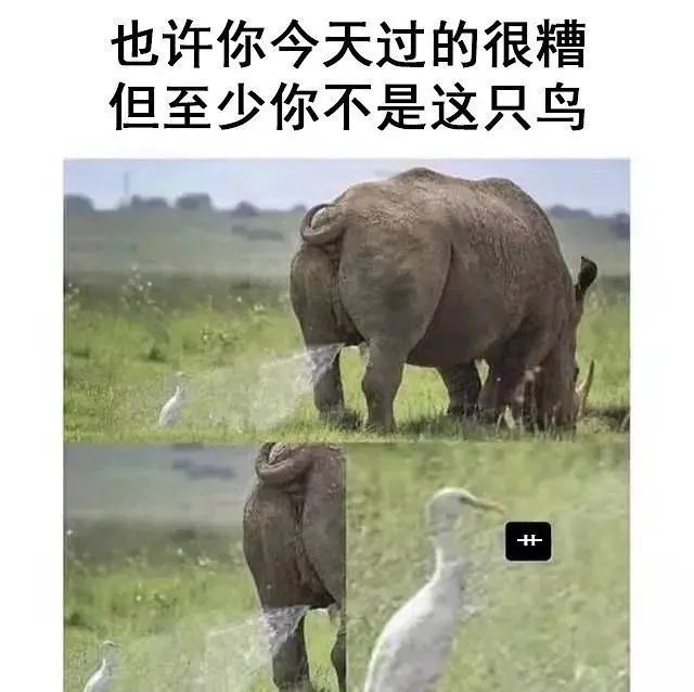 快乐就是这么简单