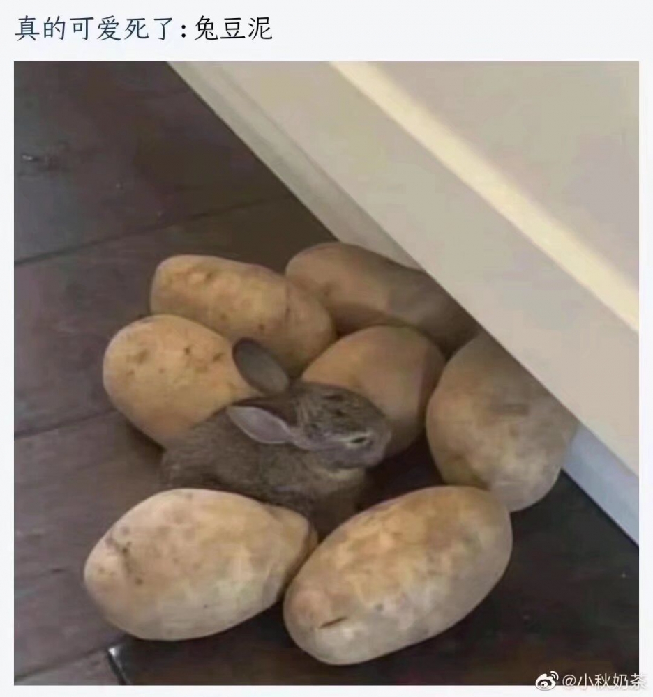 前面沙雕图的原图