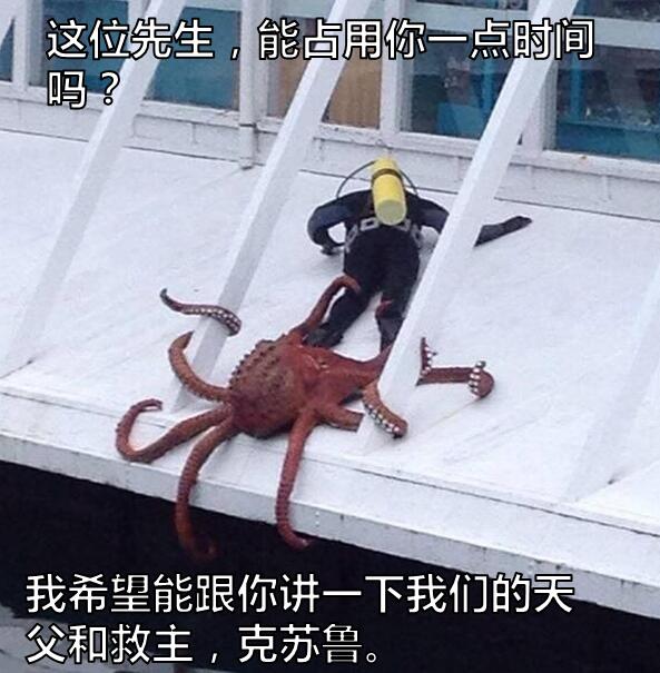 哦，我伟大的主