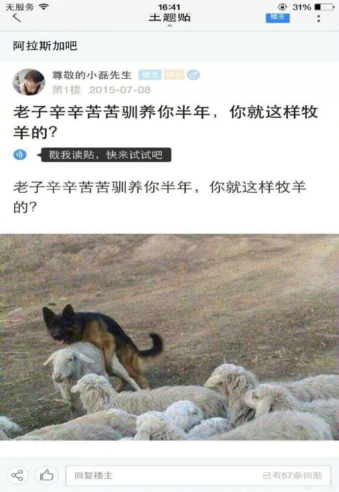 老子辛辛苦苦养你——