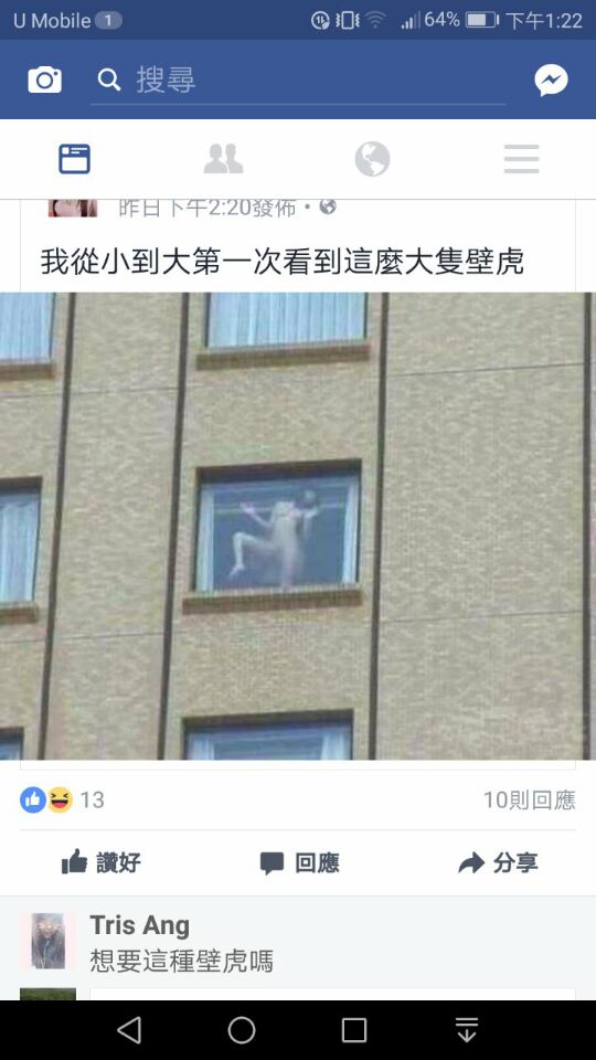 其实……啧啧啧