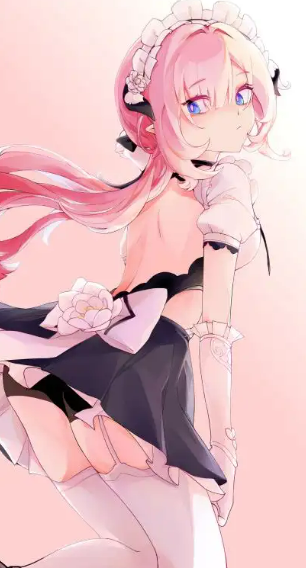 我老婆：爱莉希雅