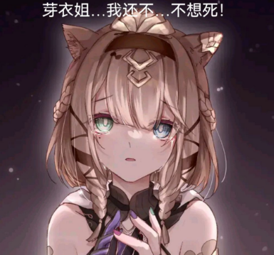 舰长宝贵的回忆