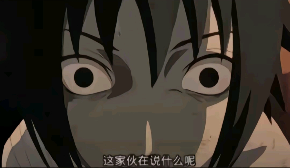 这家伙在在说什么呢