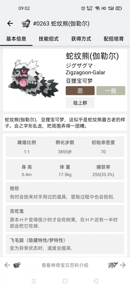 蛇纹熊（伽勒尔形态）