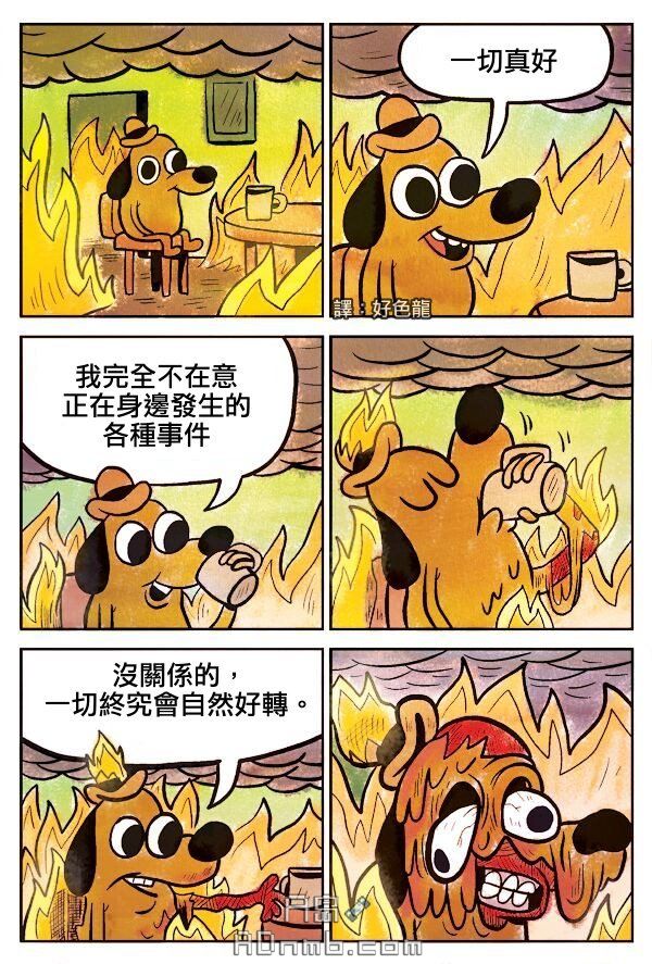 我就像这狗…求建议啊
