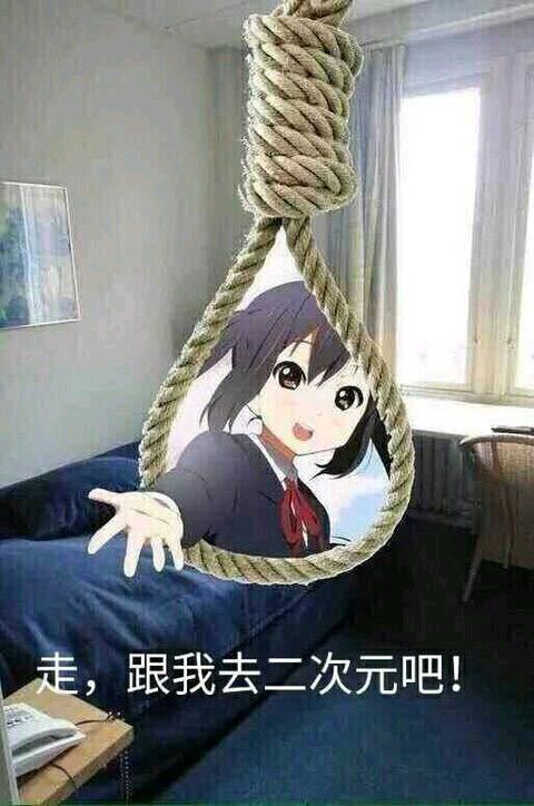 前往二次元的通道