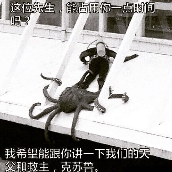 先生你好