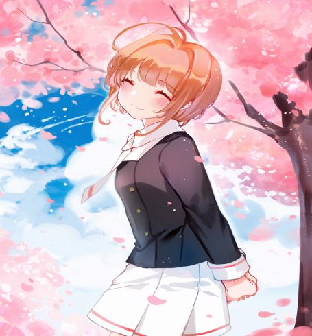 芝士小樱