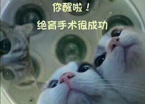 绝育手术