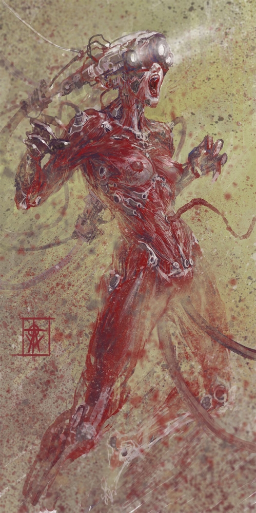 赤红大概就这B样