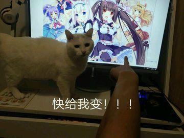 给我变.jpg