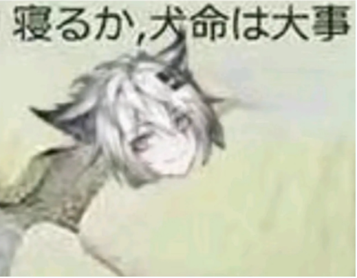 狗命要紧