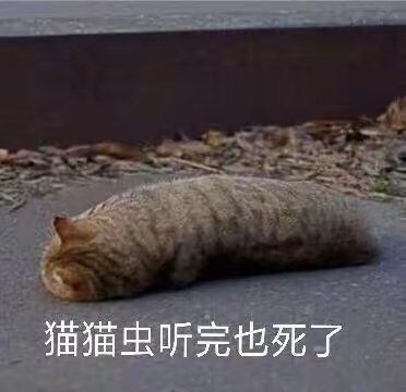 猫猫虫听完都死了
