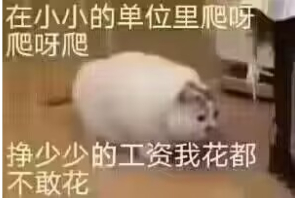 拼好饭要吃吐了