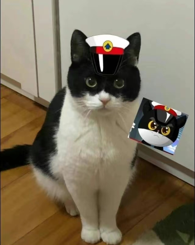咪咪（网图）