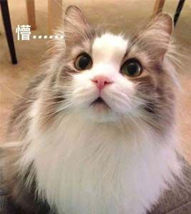 大概就是酱紫的~~~