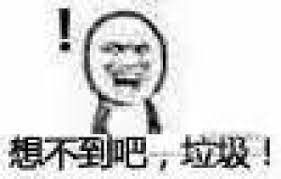 想不到吧，垃圾