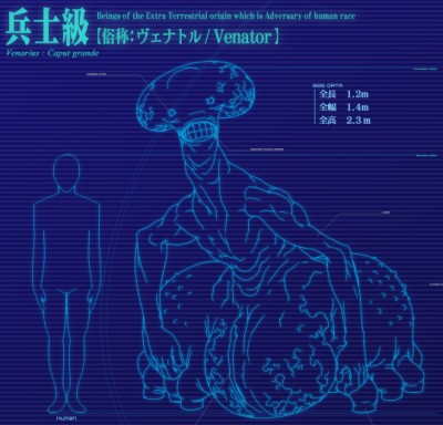 士兵级（彩图不能放）