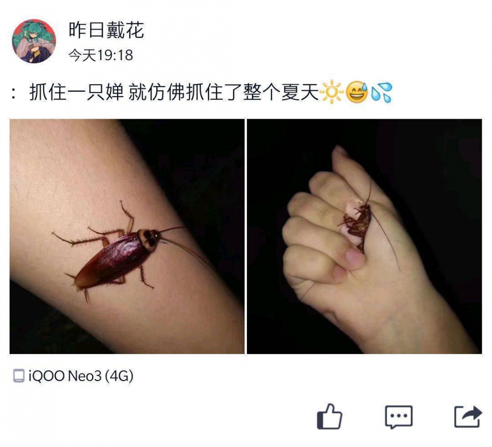 啊这…口区