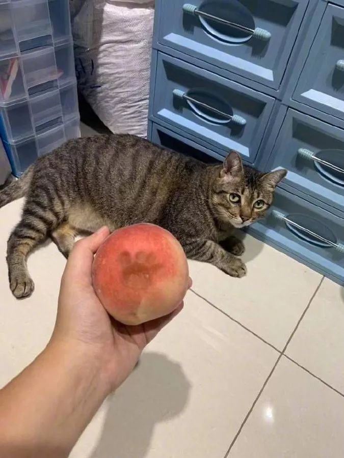 证 据 确 凿