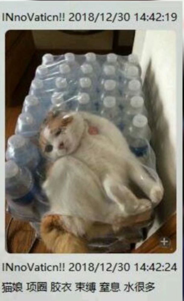 猫娘，水很多。。。