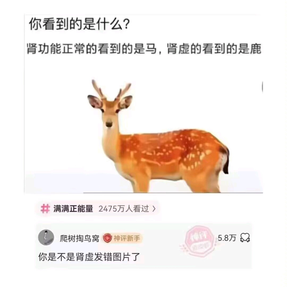 �㿴����ʲô��