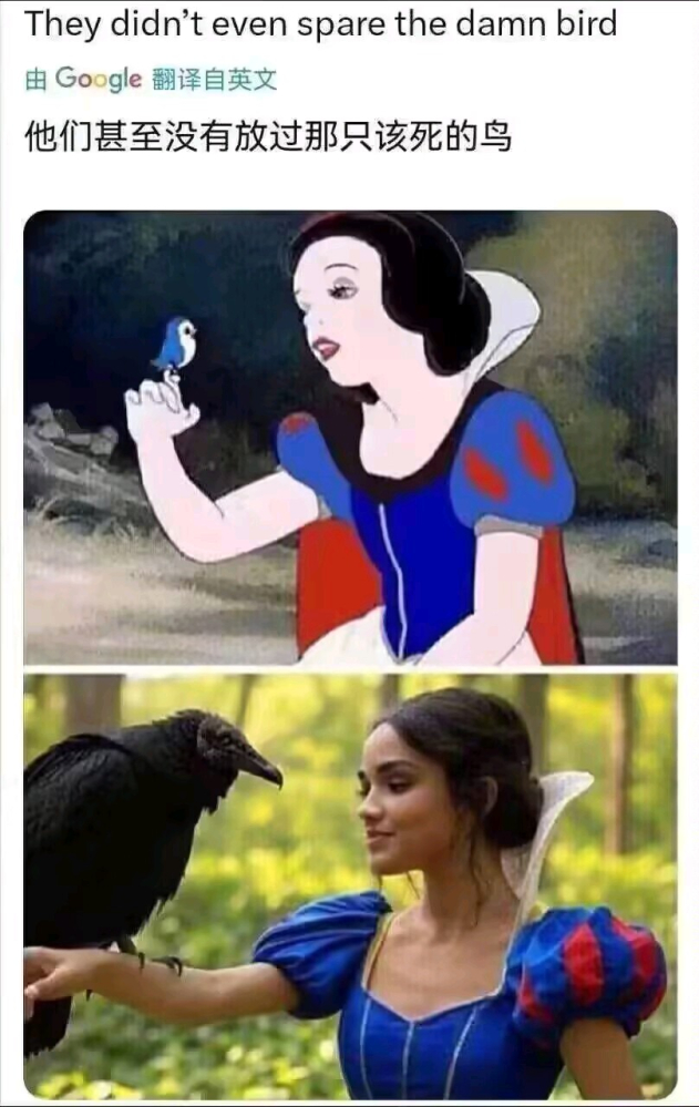����û�Ź���ֻ��