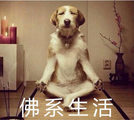 我的生活