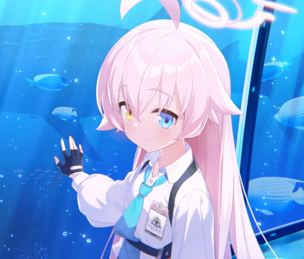 那个就是鲸鱼吗