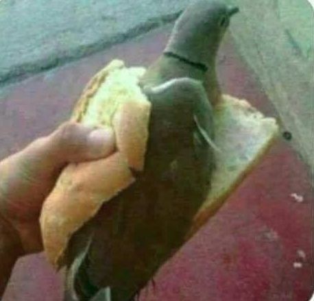 这才是某拖更作者