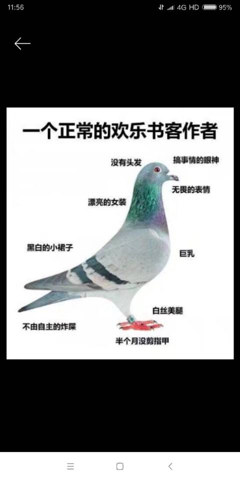 一个合格的作者