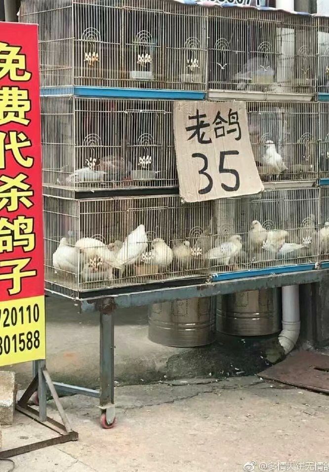 拖稿作者的下场