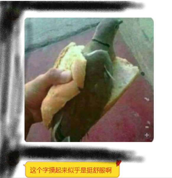 某鸽舍作者