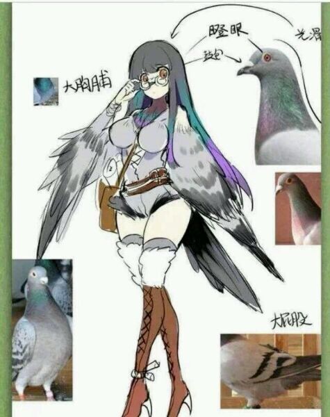 咕咕咕~~~